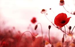 怎么预防不怀孕 怎么预防不怀孕